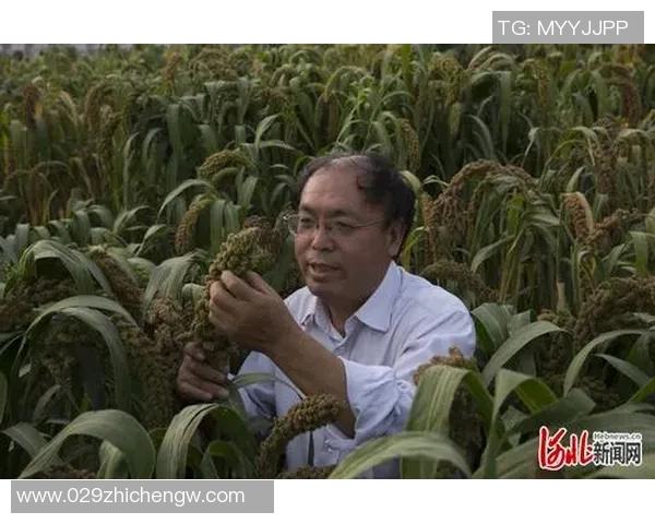 程帅澎:从普通青年到科技创新先锋的奋斗历程与启示